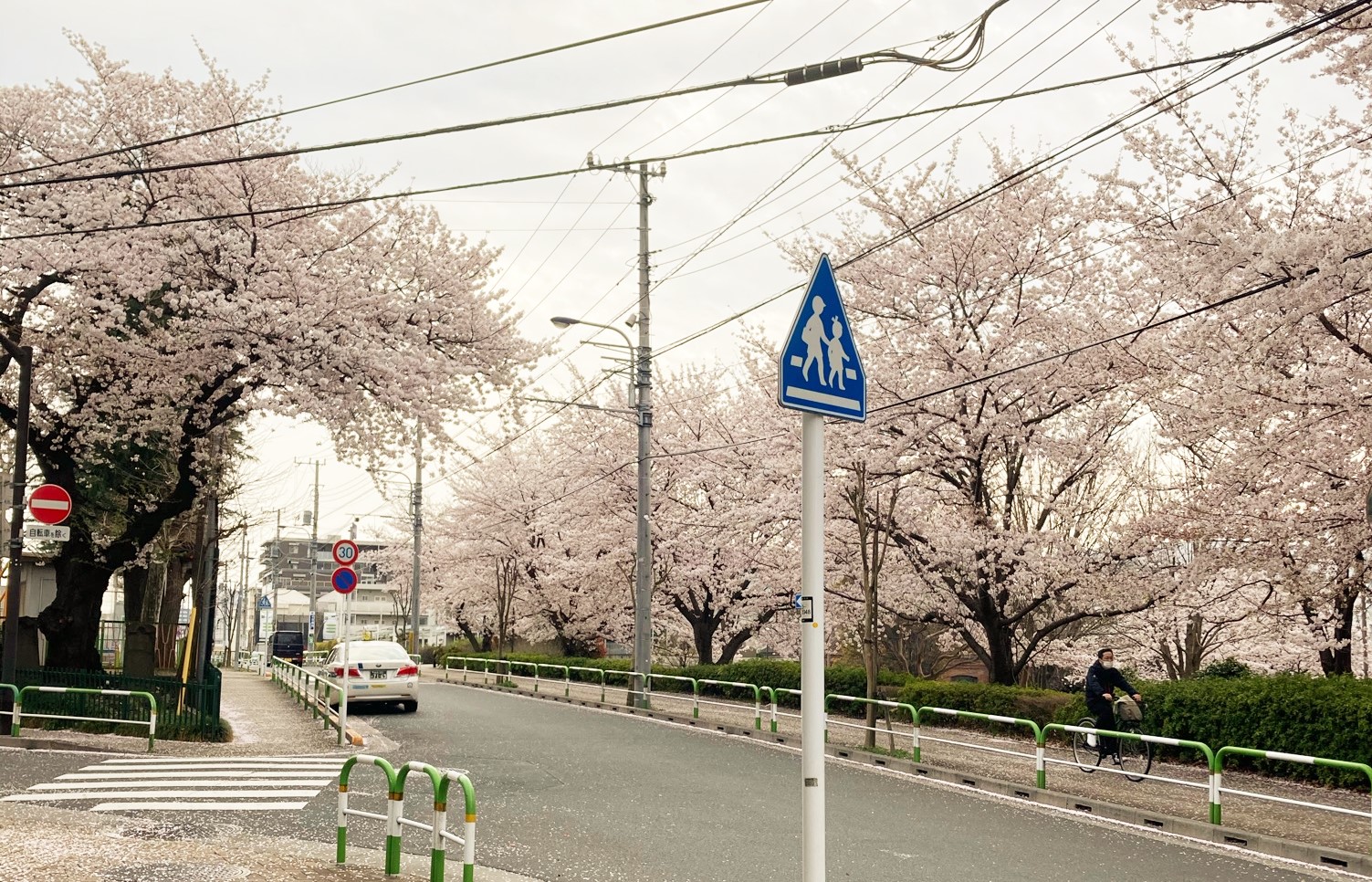 ［学生の作文］日本で生活している。少しずつ。